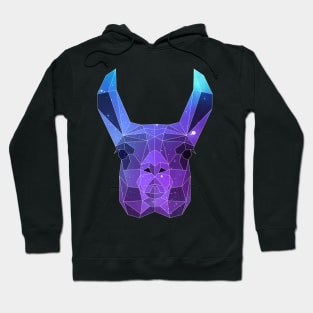 Galaxy Llama Hoodie